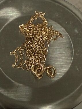 Delicate Gold Cable Necklace — Everyday Elegant Layering Piece
